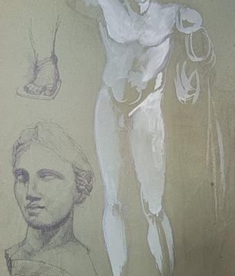 studi-nudo