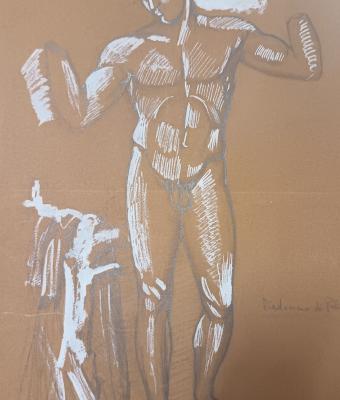 studi-nudo
