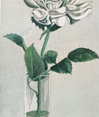vaso-con-fiore-bianco