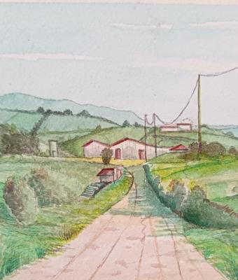 scorcio-campagna-muddizza