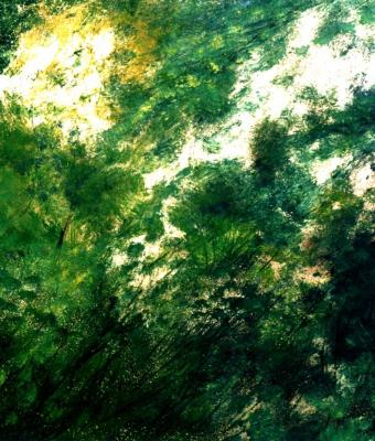magia-verde