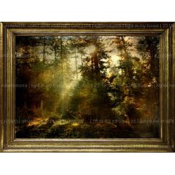 lights-in-my-forest