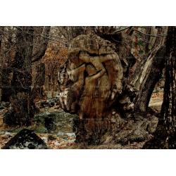 quotil-primitivo-istintoquo