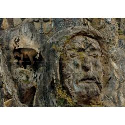 serie-quotnatura-mundiquotesposizioni-museali