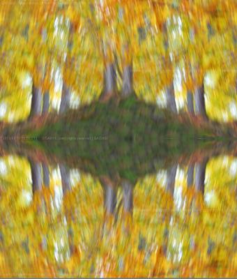 il-fluir-dell-autunno