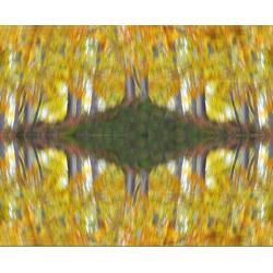 il-fluir-dell-autunno