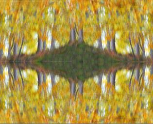 il-fluir-dell-autunno
