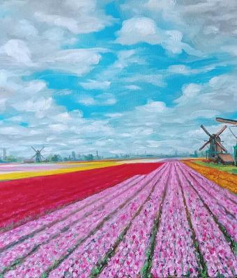 campi-di-tulipani