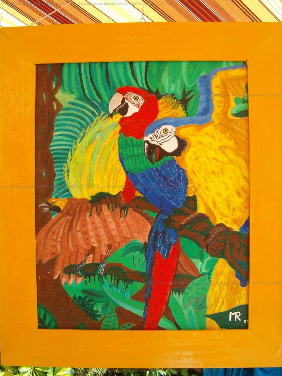 uccelli-del-paradiso