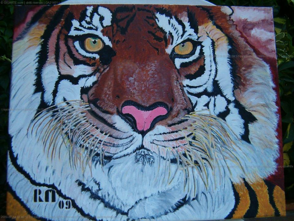 sguardo-felino