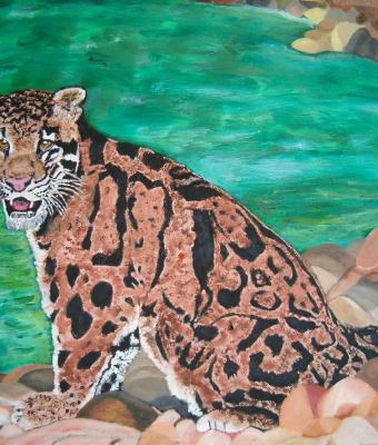 macchie-di-leopardo