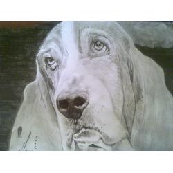 sguardo-languido