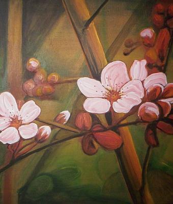 spring