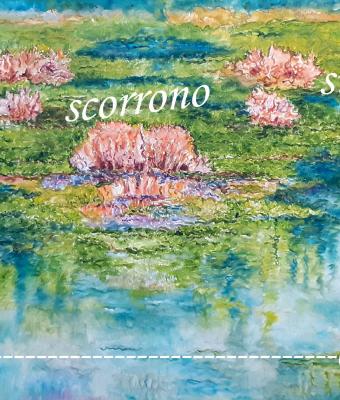 i-colori-scorrono-sull-acqua
