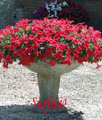 ga232927-senza-titolo