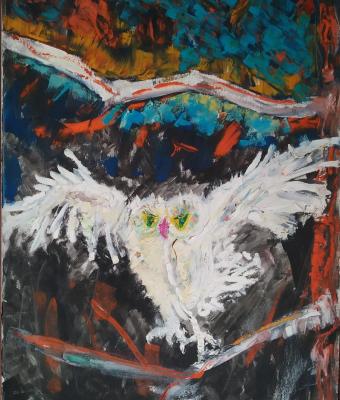 volo-notturno