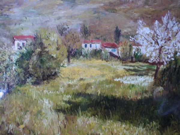 campo-in-fiore