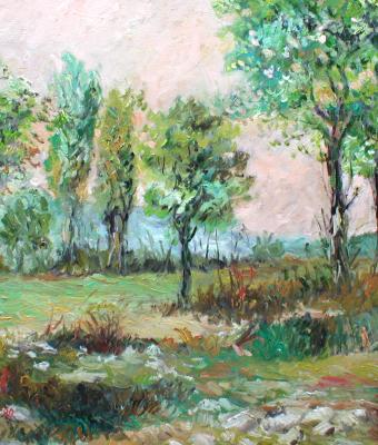 piante-palustri