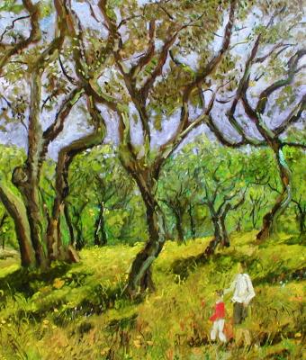 passeggiata-tra-gli-ulivi