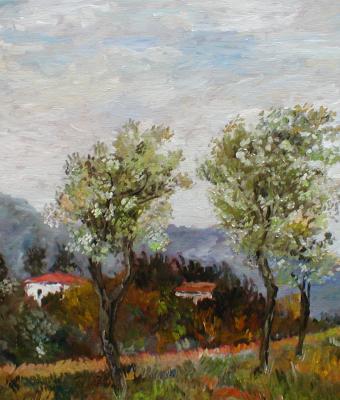 campagna-aullese