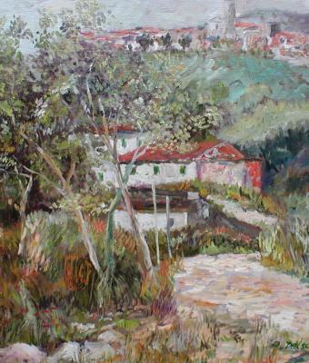 veduta-di-ca-prigliola