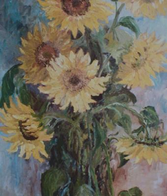 girasoli