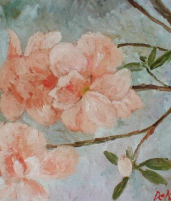 azalea