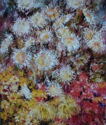 fiori