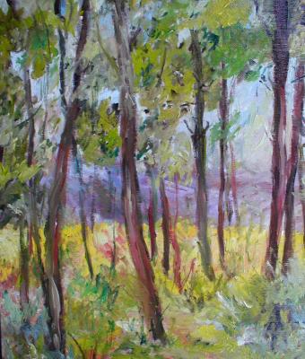 sttobosco