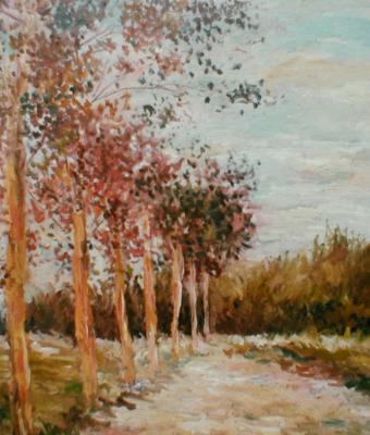 stradina-di-campagna