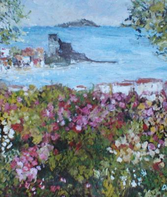 veduta-di-lerici