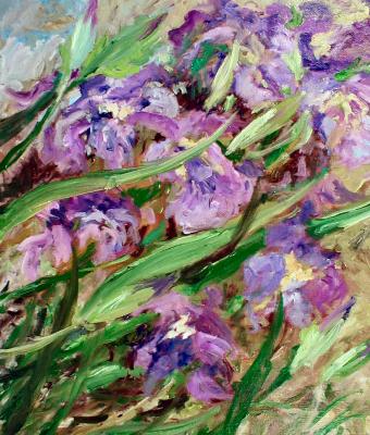 iris