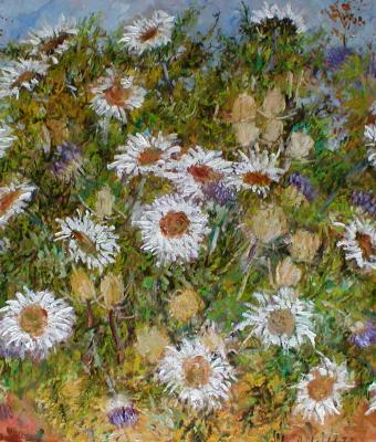 fiori-di-montagna-carline