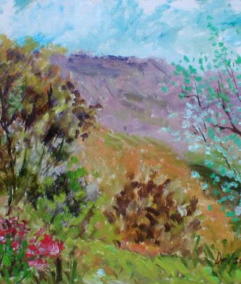 campagna