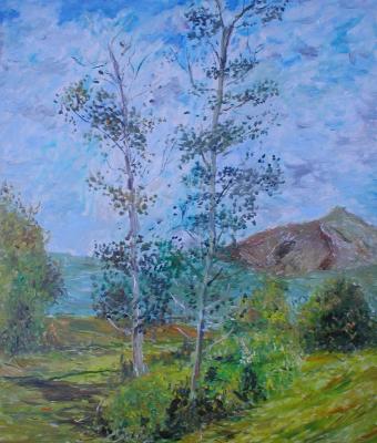 due-alberi