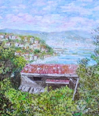 veduta-parziale-del-golfo
