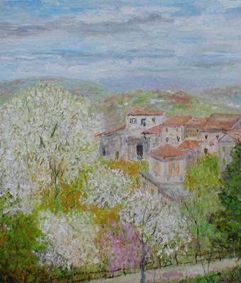 alberi-fioriti-a-caste