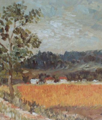 campo-di-grano-presso-ceparana