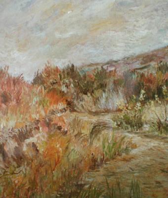 colori-autunnali-al-fiume