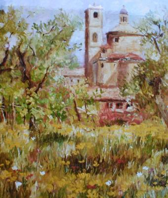 fiori-di-campo-a-s-stefano-ma