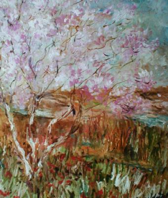 primavera-rosa