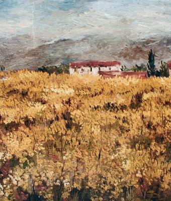 fiori-gialli-di-prato