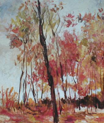sottobosco-autunnale