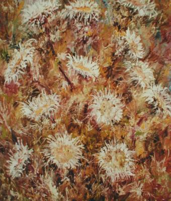 fiori-di-montagna-carline