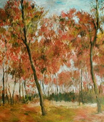 sottobosco-autunnale