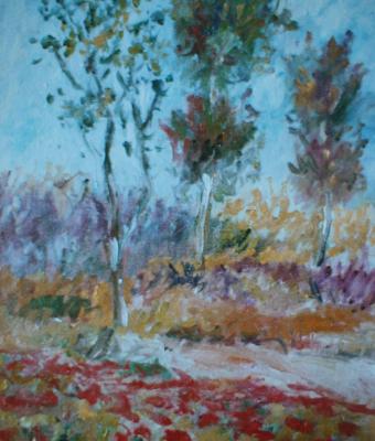 campagna-in-fiore