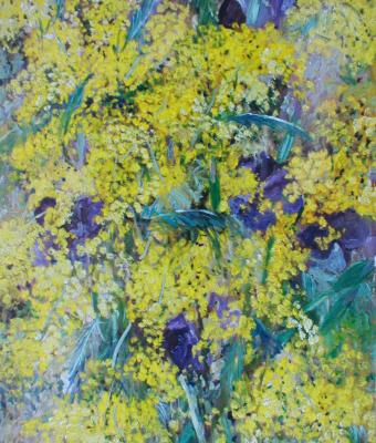 mimosa-e-iris