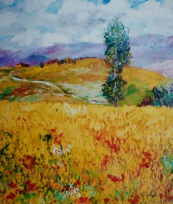 dolci-colline