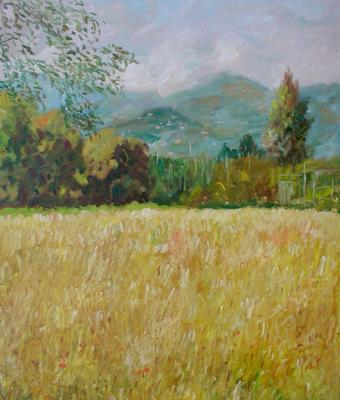 campo-d-erba-gialla