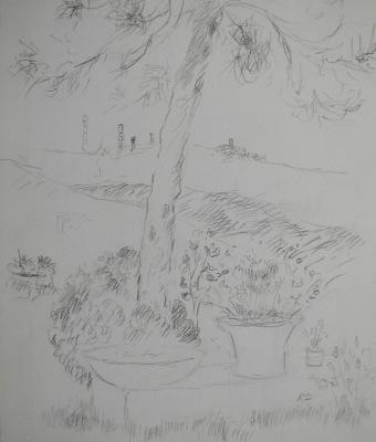 dal-giardino